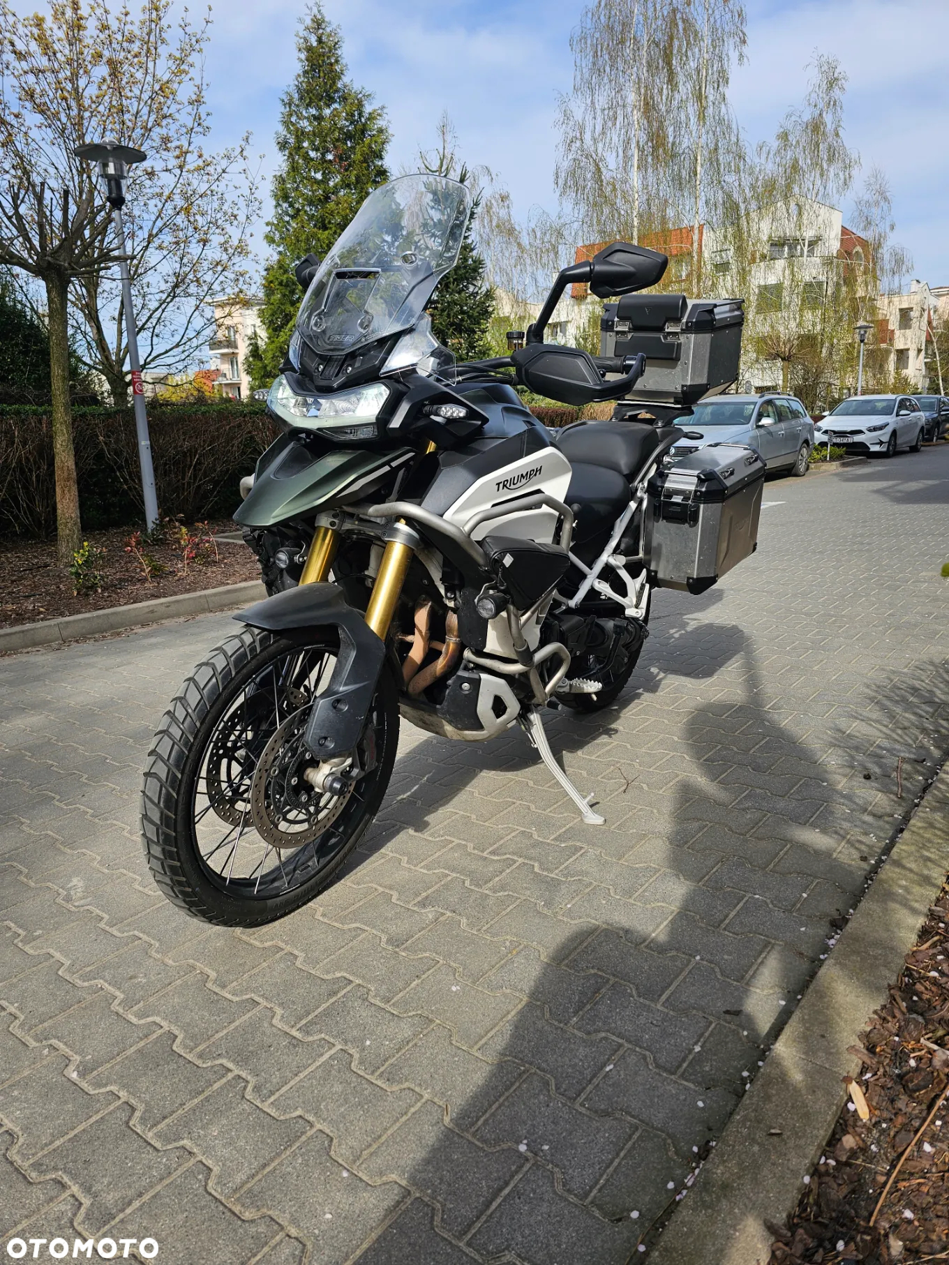 Triumph Tiger - 5