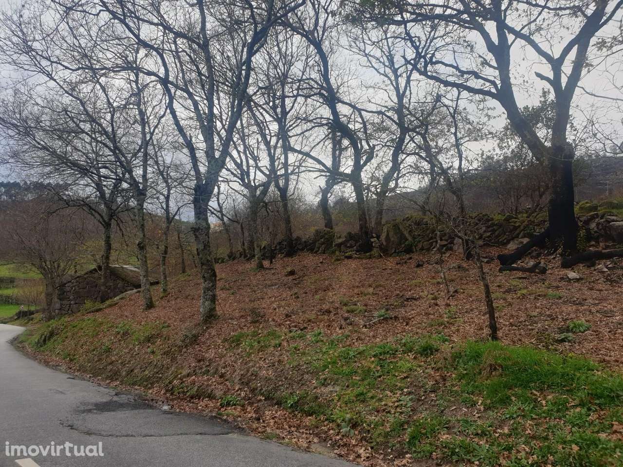 Propriedade na Aldeia de Asnela – Oportunidade Única para Turismo ou A - Grande imagem: 2/21