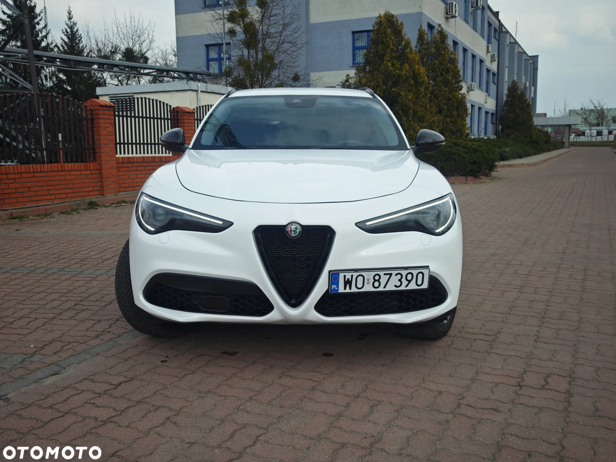 Alfa Romeo Stelvio 2.0 Turbo 16V AT8-Q4 Veloce - 3