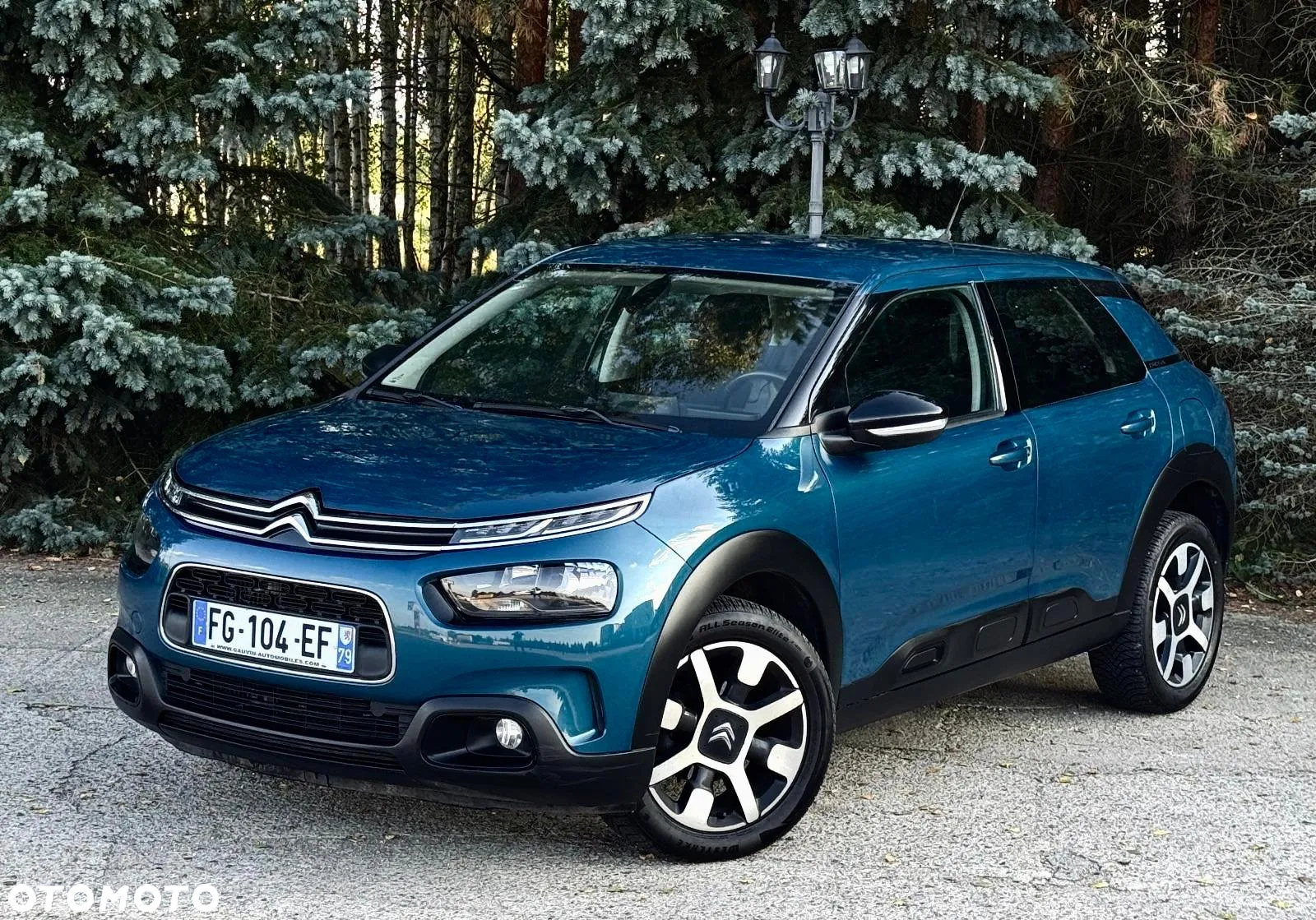 Citroën C4 Cactus - 11