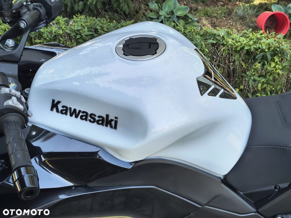 Kawasaki Ninja 1000 SX - 5