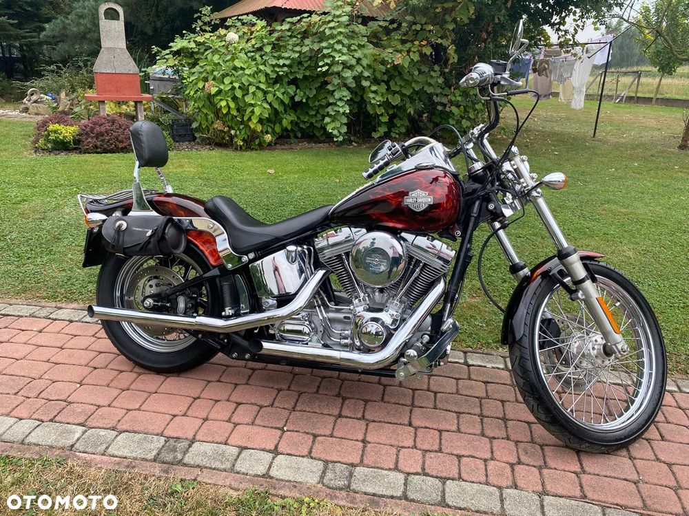 Harley-Davidson Softail - 6