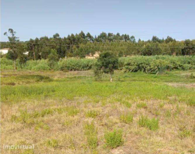 Terreno de 4.520 m2 em Monte Redondo -Torres Vedras - Grande imagem: 2/6