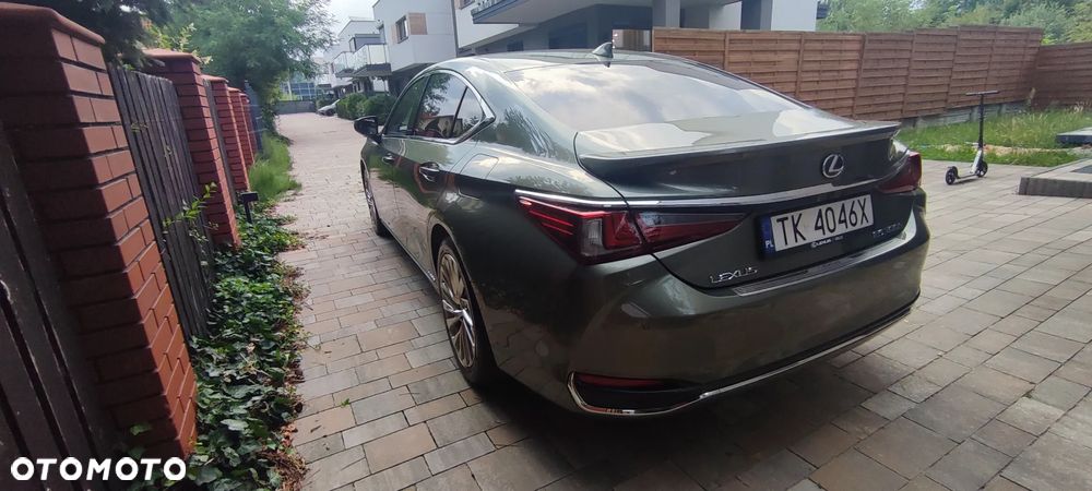 Lexus ES 300h Omotenashi - 17