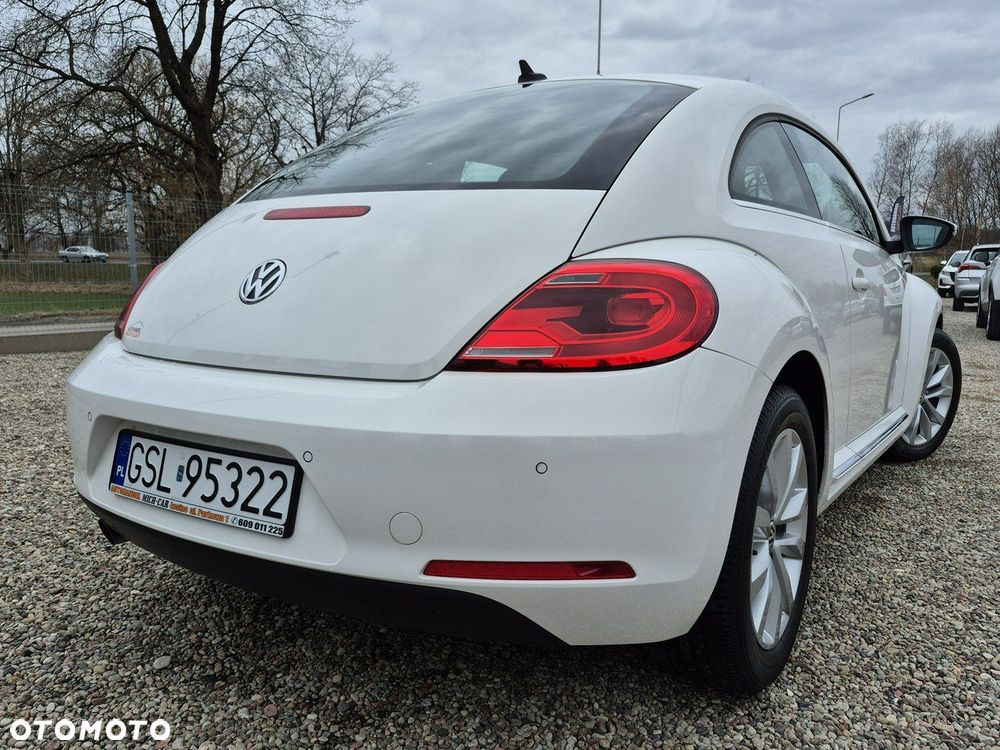 Volkswagen Beetle - 18