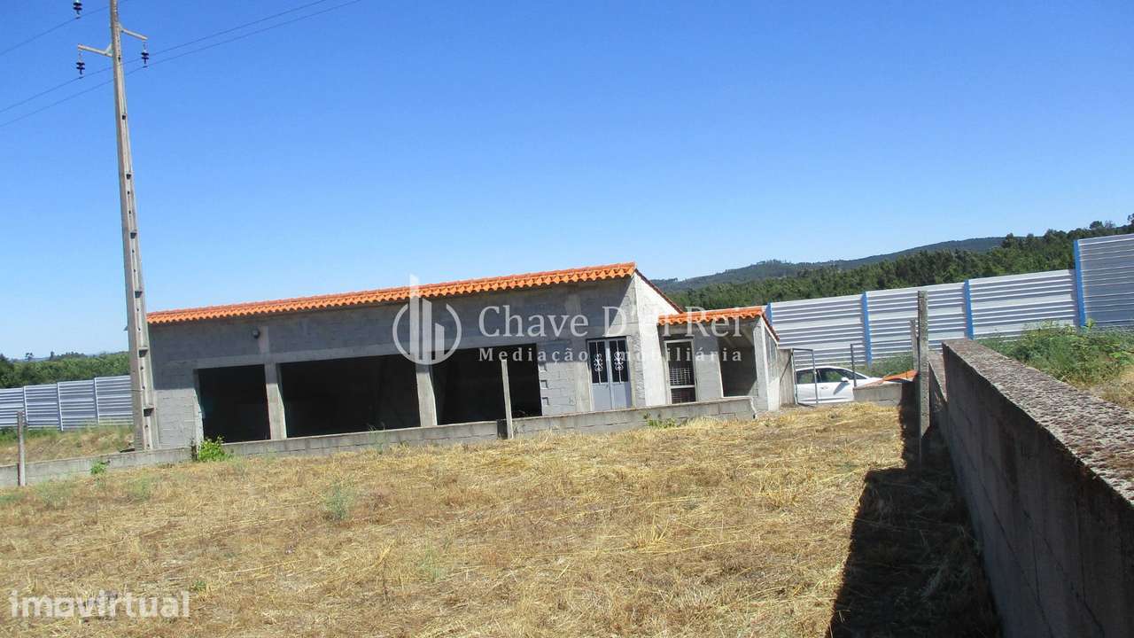 Terreno  Venda em Freixiosa,Mangualde - Grande imagem: 4/15