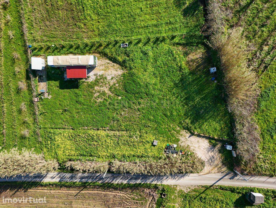 Terreno com Projecto para uma Moradia (Azinhaga/Torres Vedras) - Grande imagem: 3/14