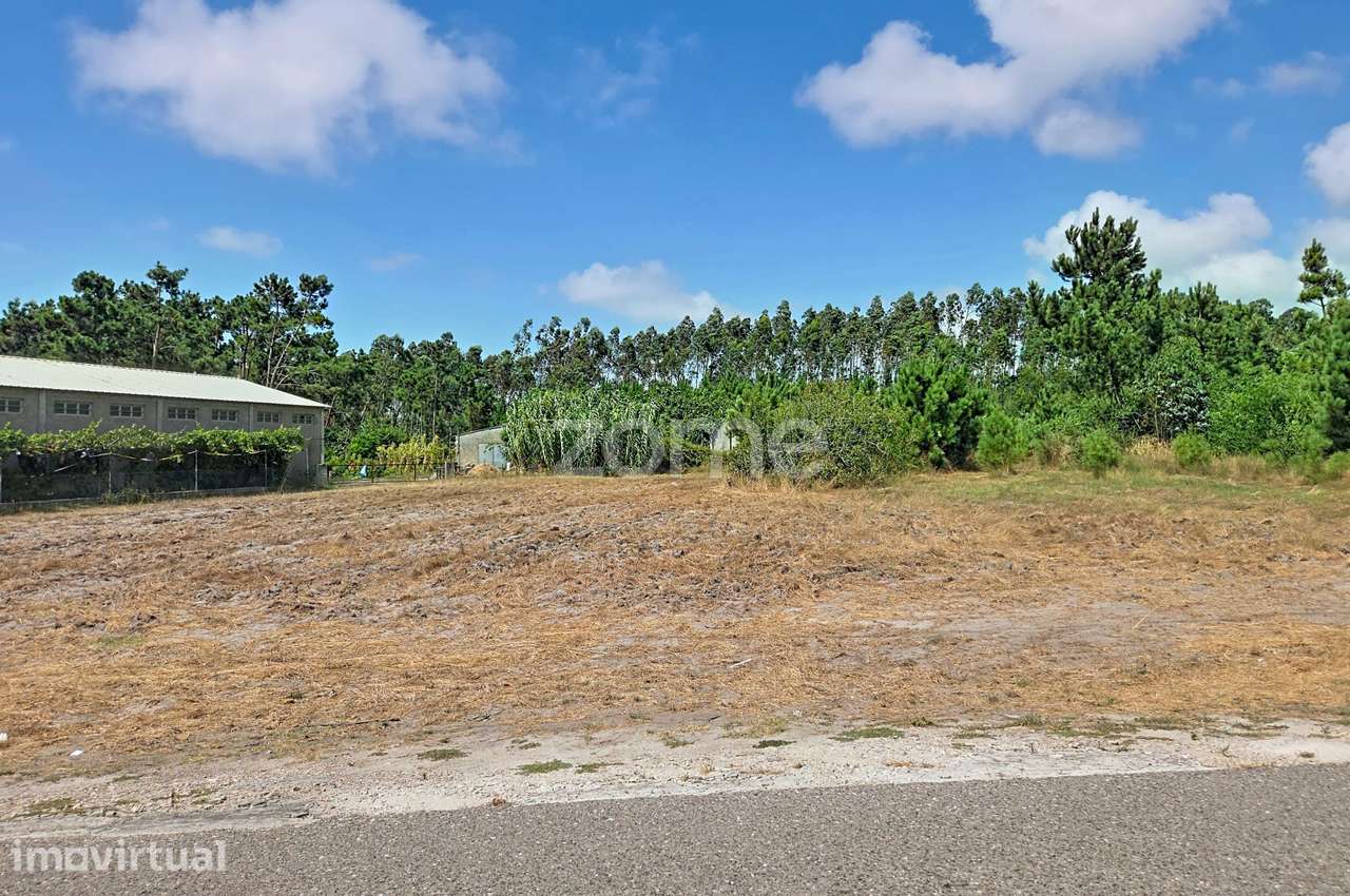 Terreno urbanizável| Ruína |3 km da Praia da Leirosa - Grande imagem: 4/34