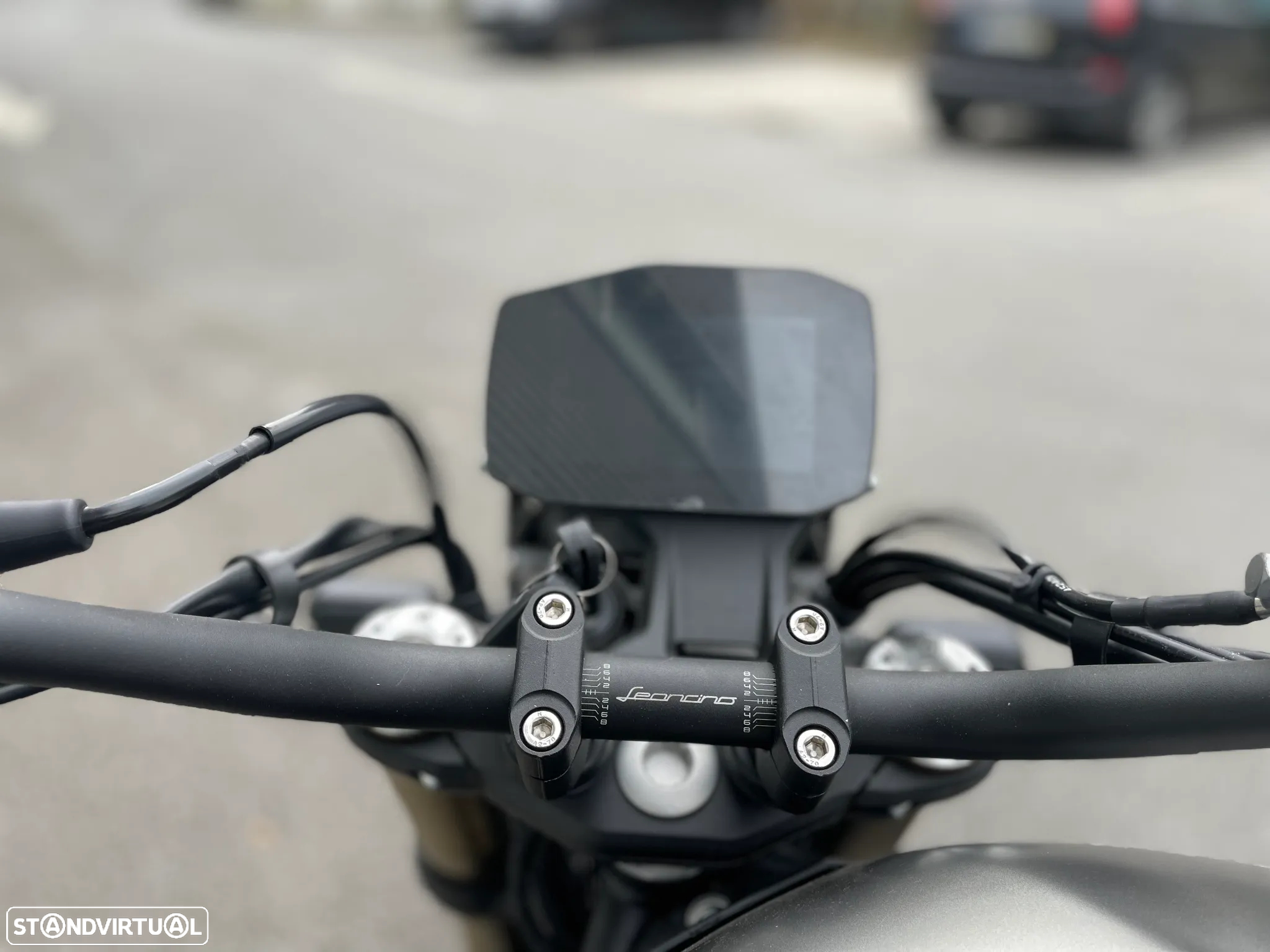 Benelli Leoncino - 3