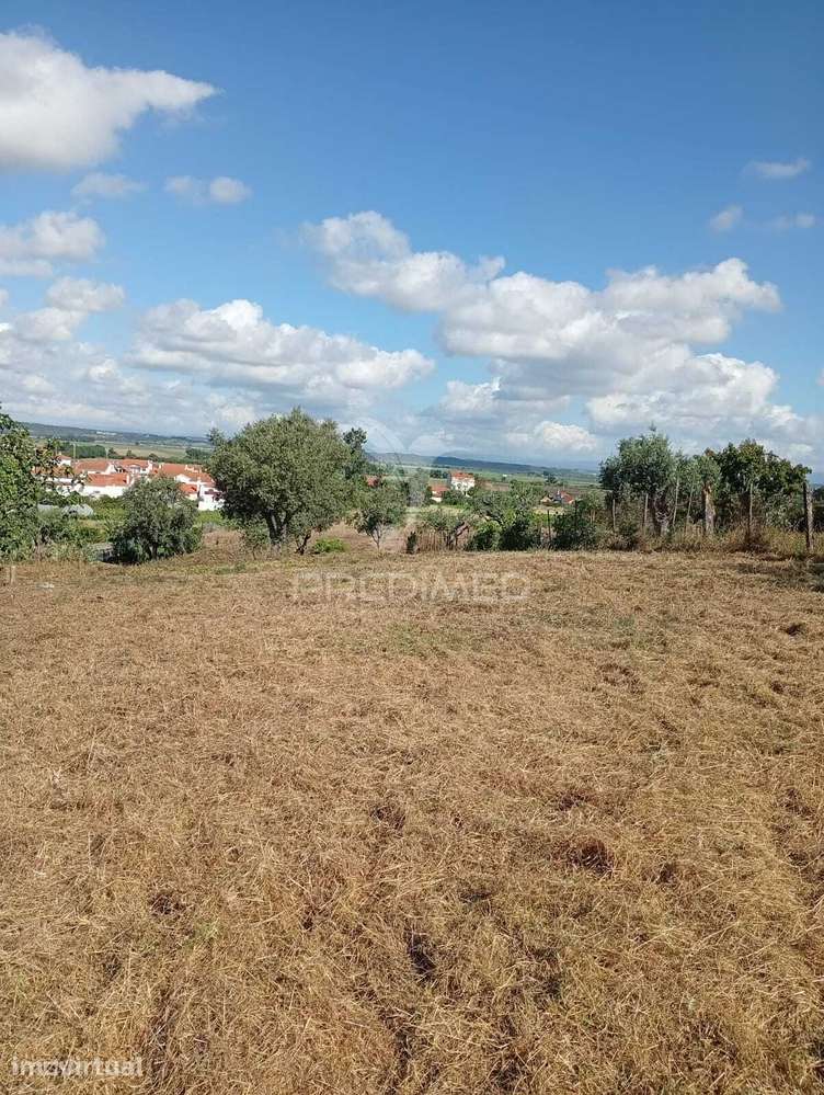 Terreno Urbano com 1.560 m2 em Alpiarça, Santarém. - Grande imagem: 5/18