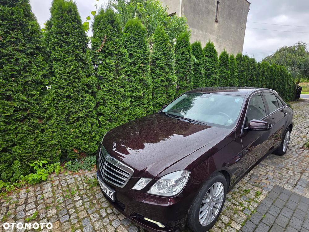 Mercedes-Benz Klasa E 220 CDI BlueEff - 3