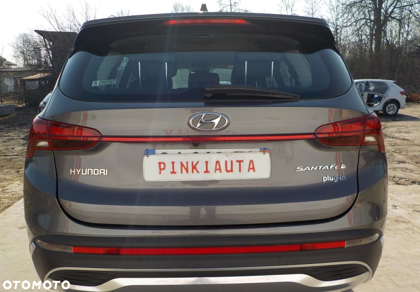 Hyundai Santa Fe - 17