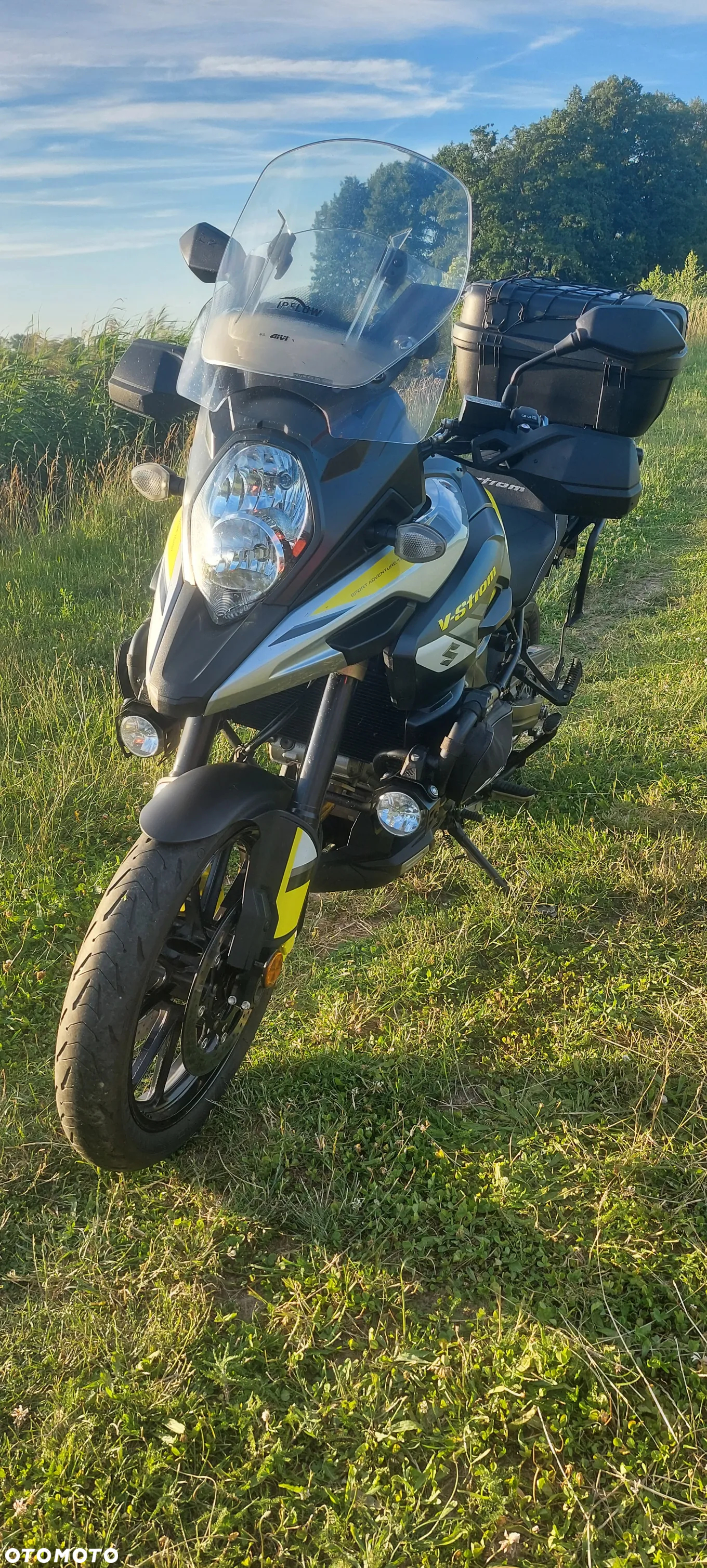 Suzuki DL