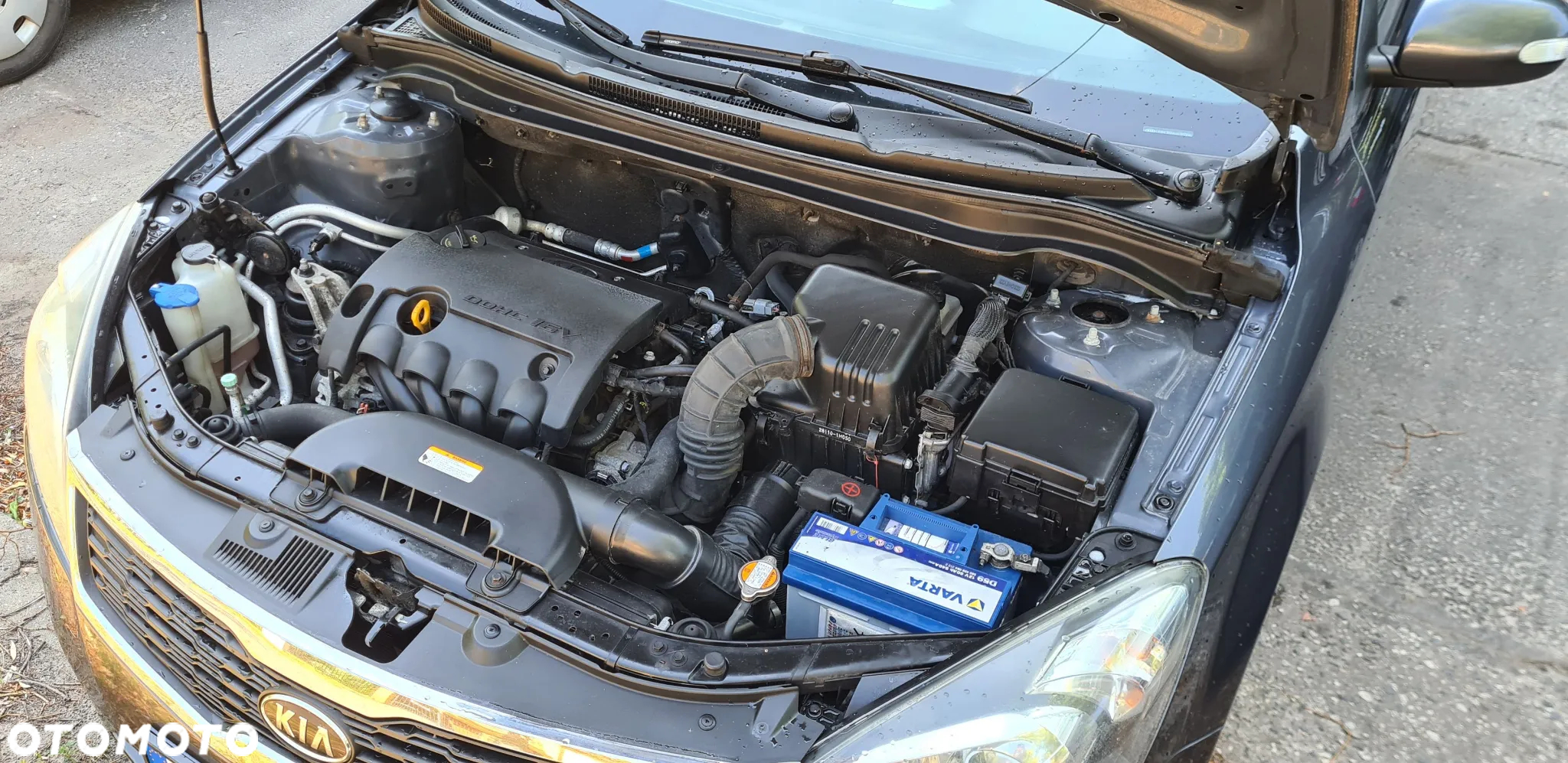 Kia Ceed Cee'd 1.6 Optimum + - 7