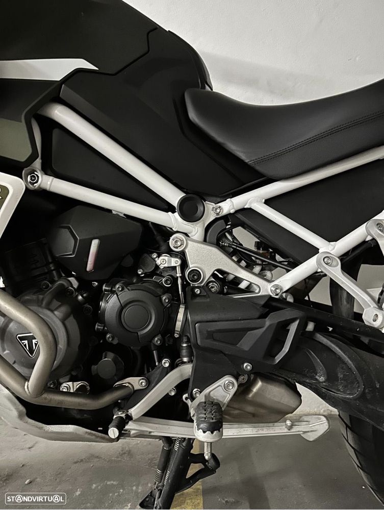 Triumph Tiger Rally Explorer - 6