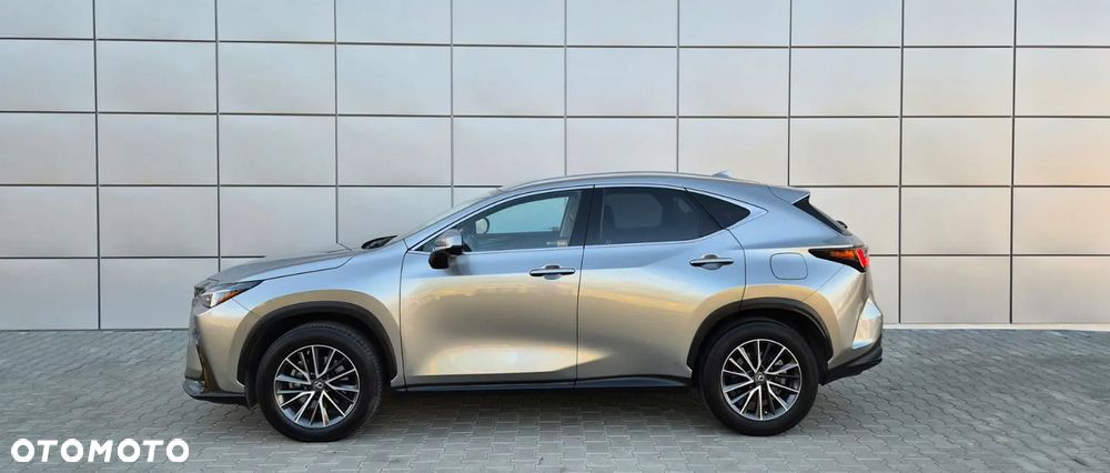 Lexus NX 350h Prestige AWD - 7