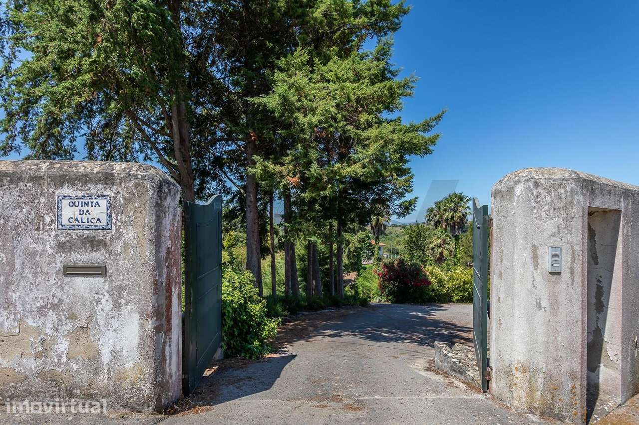 Quinta com Moradia T6, Piscina, Casa de Hóspedes, Picadeiro e Estábulo - Grande imagem: 2/60
