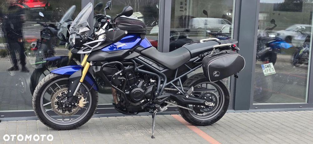 Triumph Tiger - 24