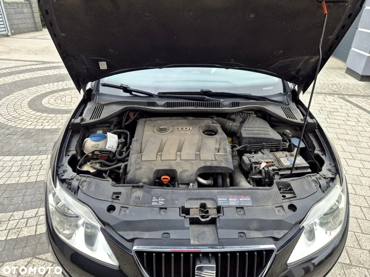 Seat Ibiza - 34