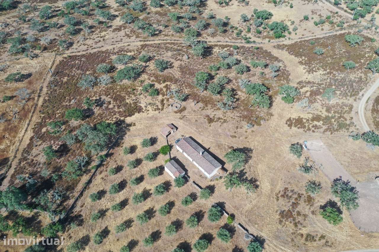 Moradia T4 Venda em Ourique,Ourique - Grande imagem: 3/39