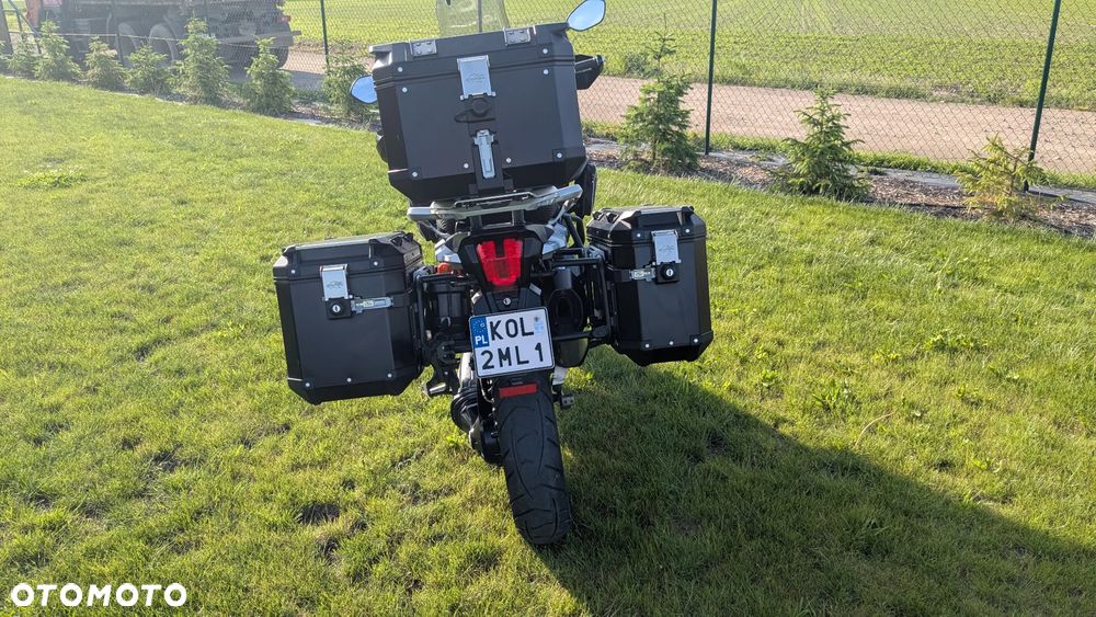 Triumph Tiger - 5