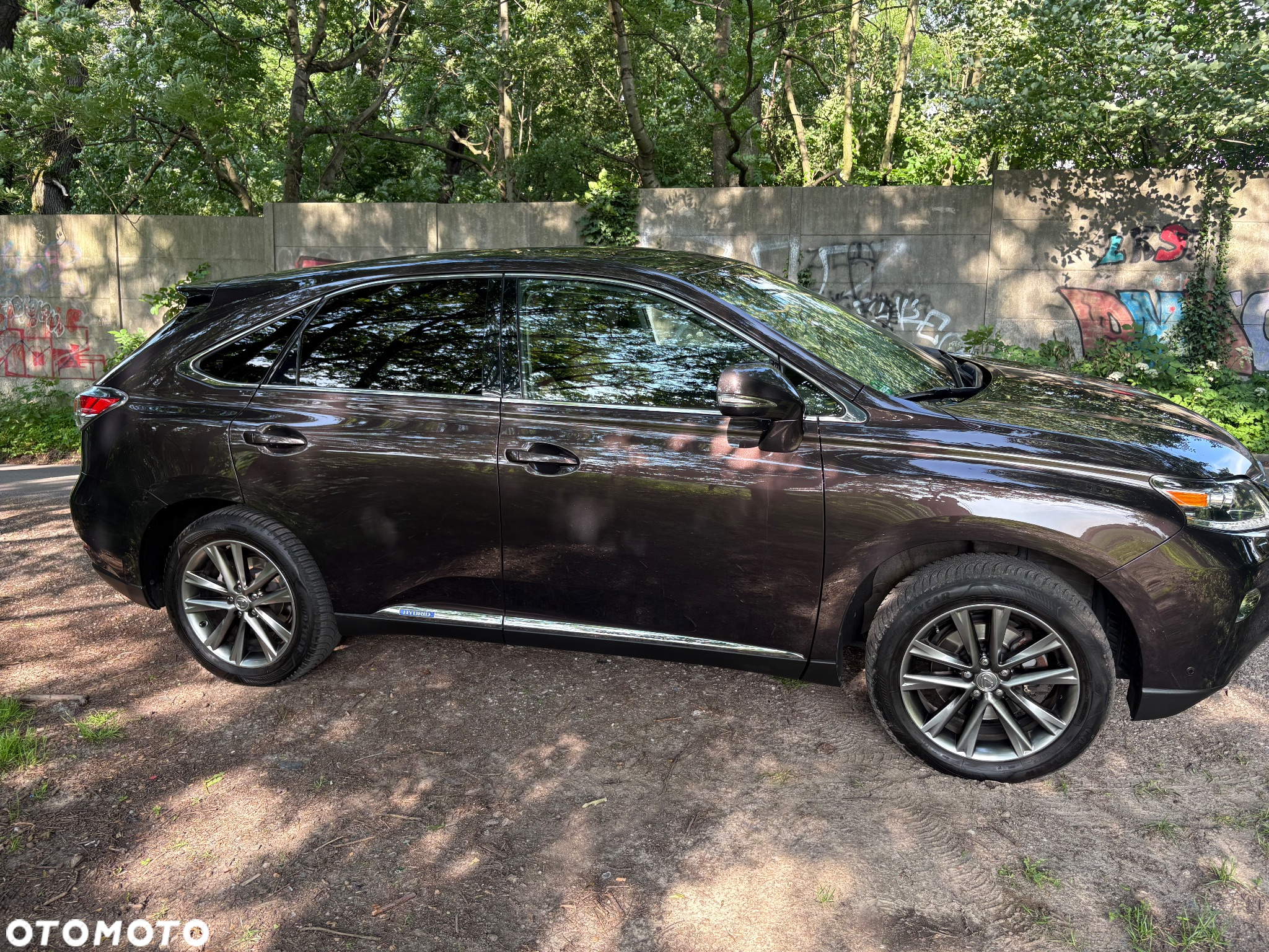 Lexus RX - 2