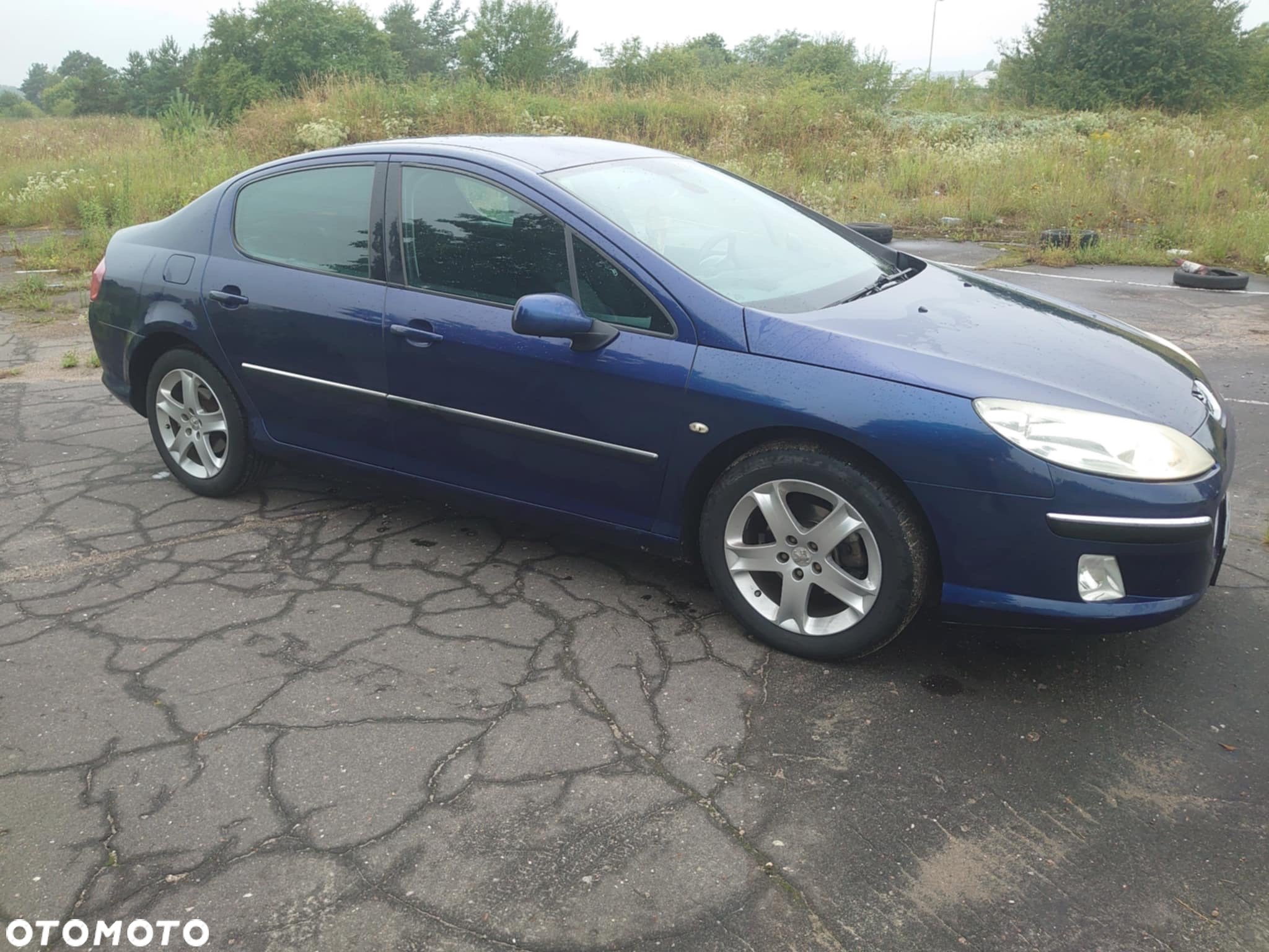Peugeot 407 2.0 SV Executive - 3