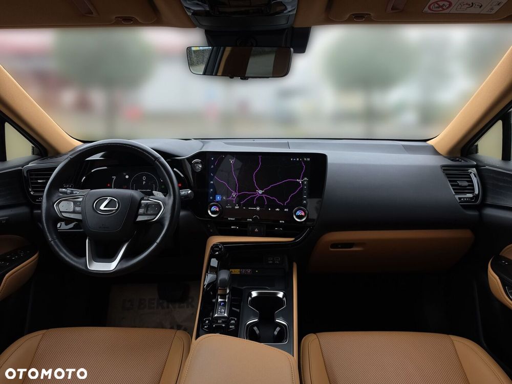 Lexus NX - 13