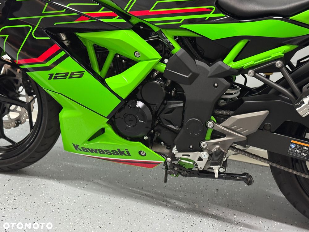 Kawasaki Ninja - 29