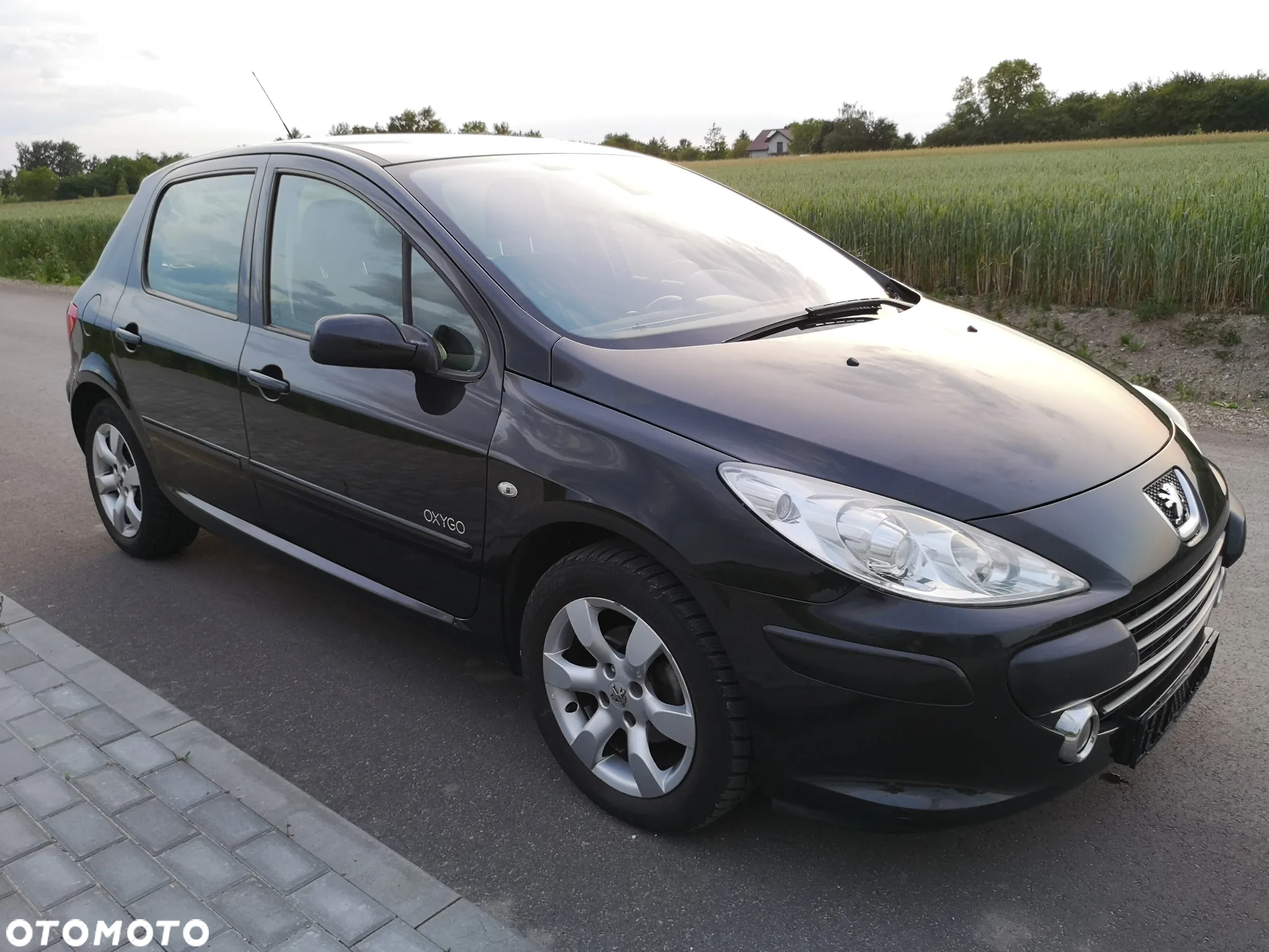 Peugeot 307 110 OXYGO - 28