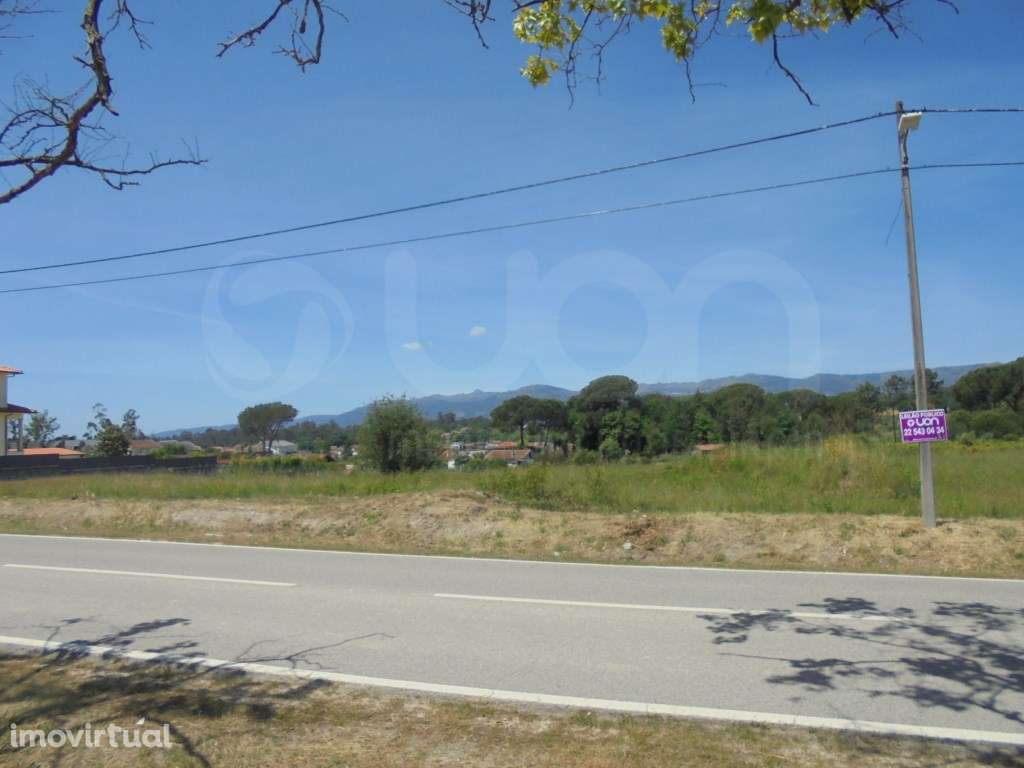 Terrenos Rústicos Tondela - Grande imagem: 2/8