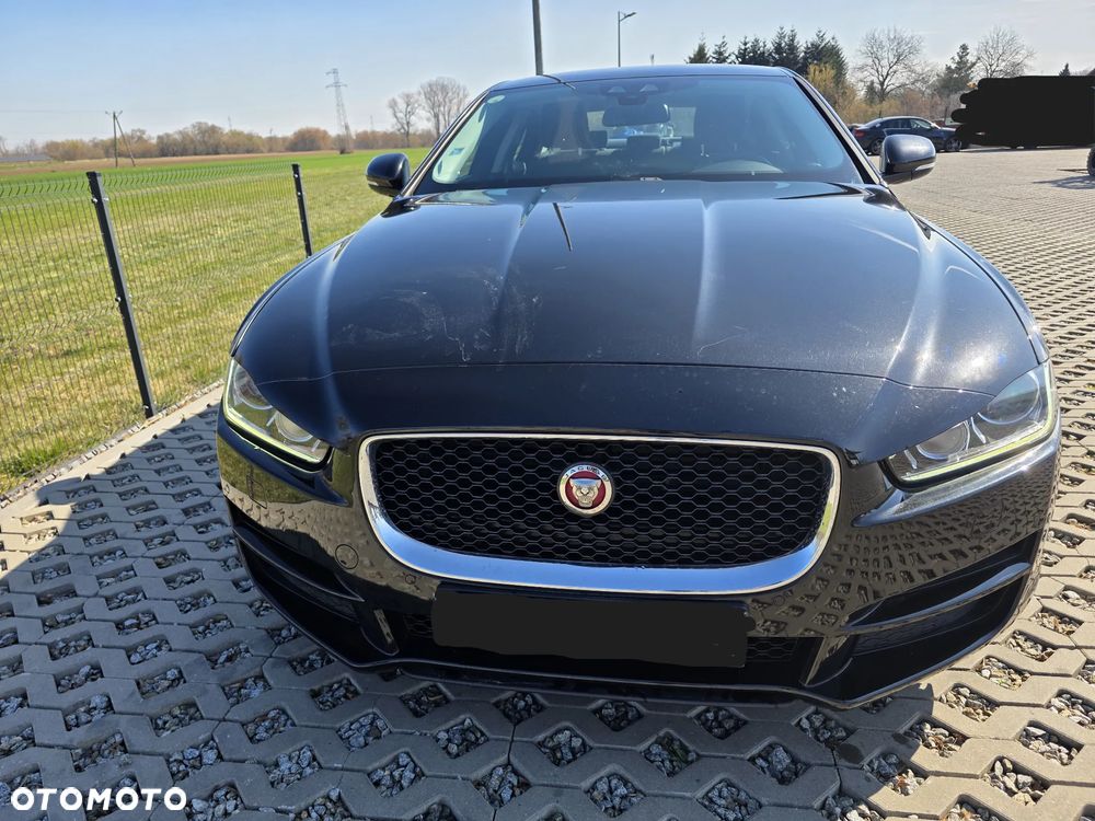 Jaguar XE E-Performance Pure - 8