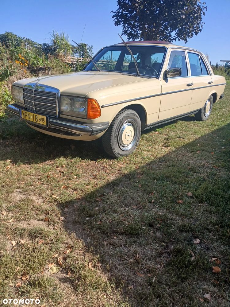 Mercedes-Benz W123 - 6