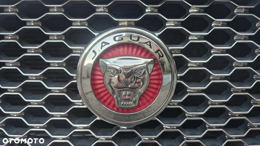 Jaguar XE - 13
