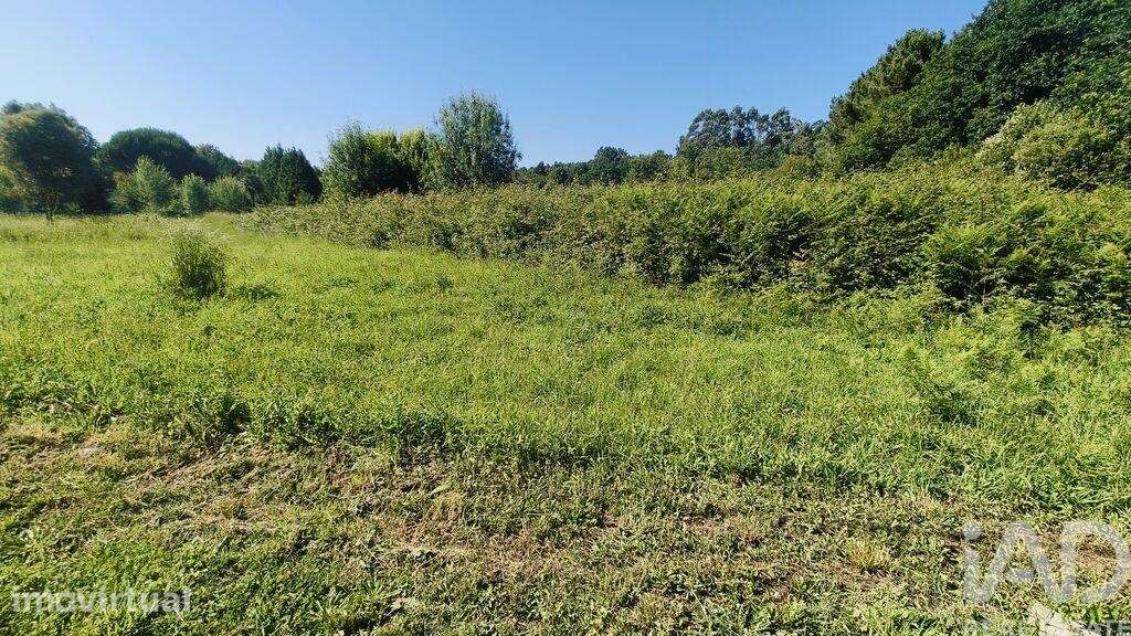 Terreno Agrícola em Vilar de Mouros - Grande imagem: 4/9