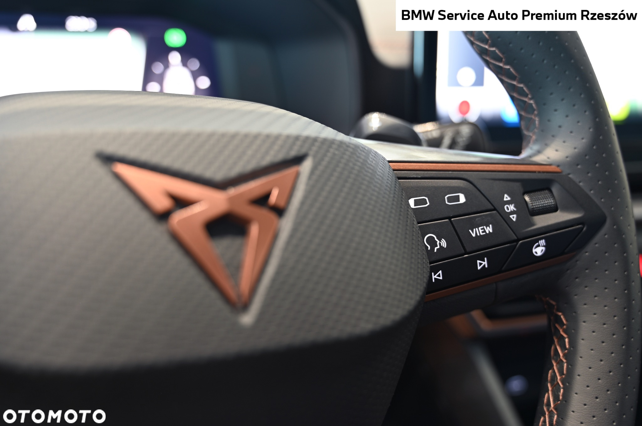 Cupra Formentor 2.0 TSI VZ DSG - 8