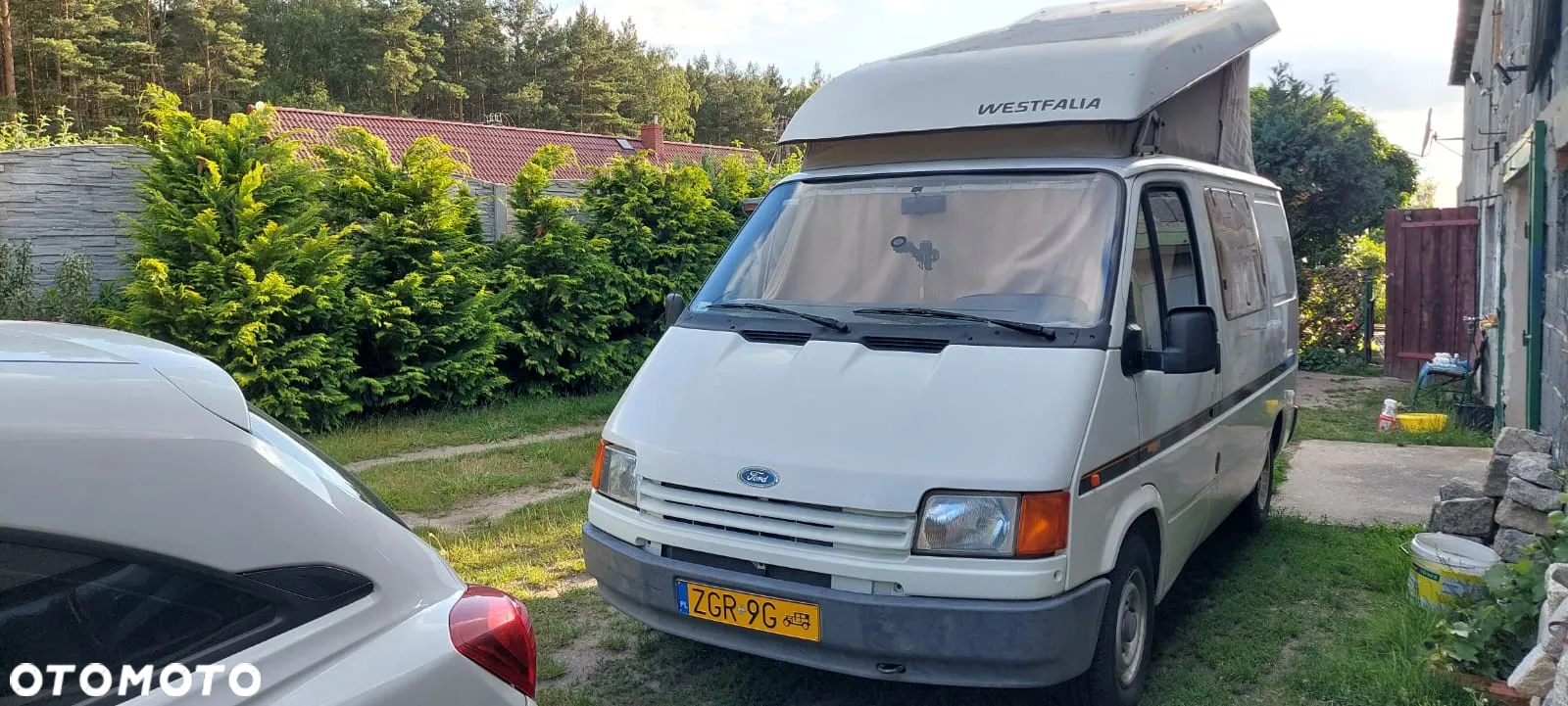 Ford Transit - 5