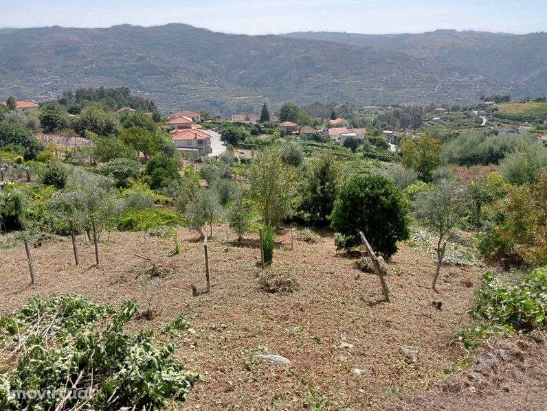 Terreno em Enxames, Santa Cruz do Douro - Grande imagem: 3/6
