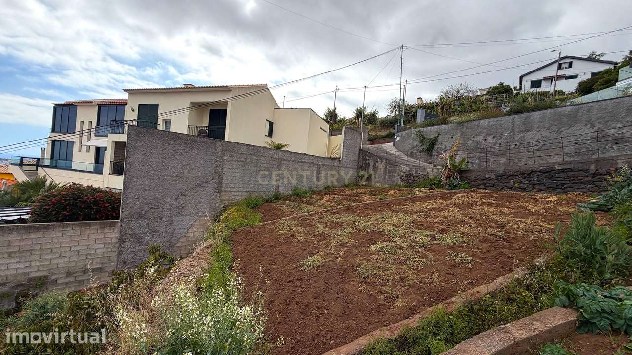Terreno com Vista sobre o Funchal - Livramento - Monte - Grande imagem: 2/6