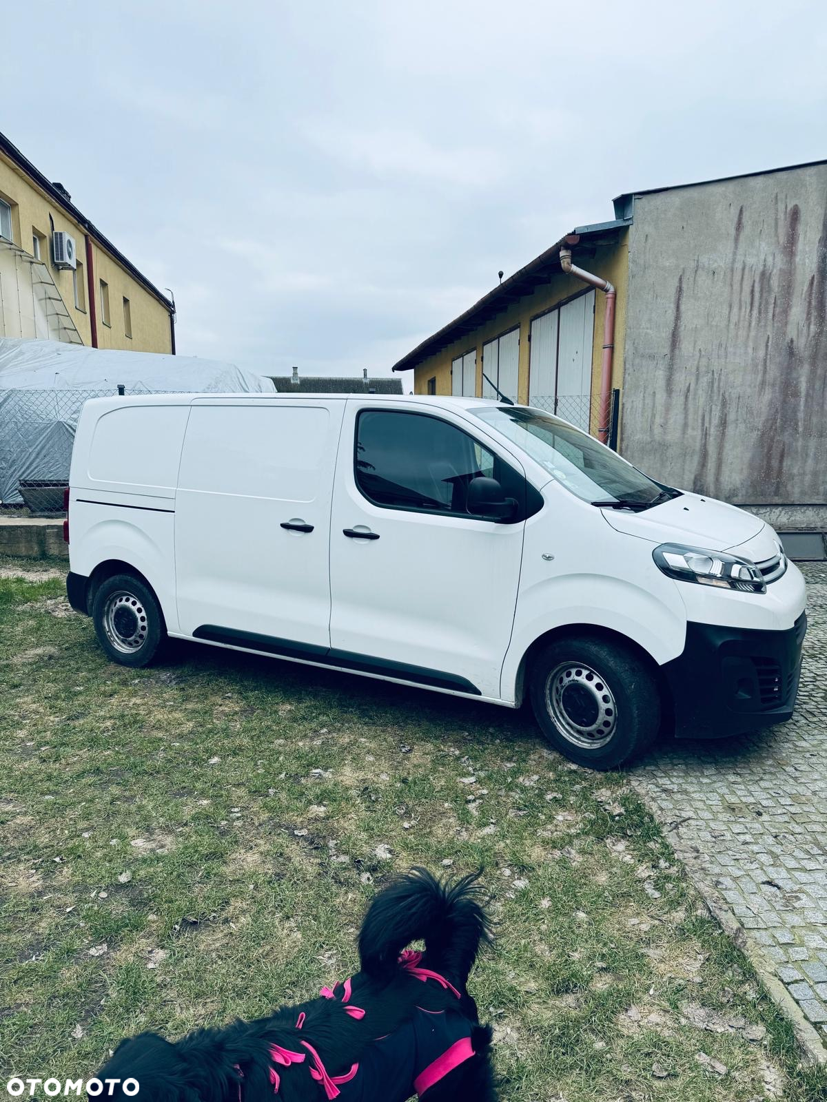 Citroën Jumpy - 5