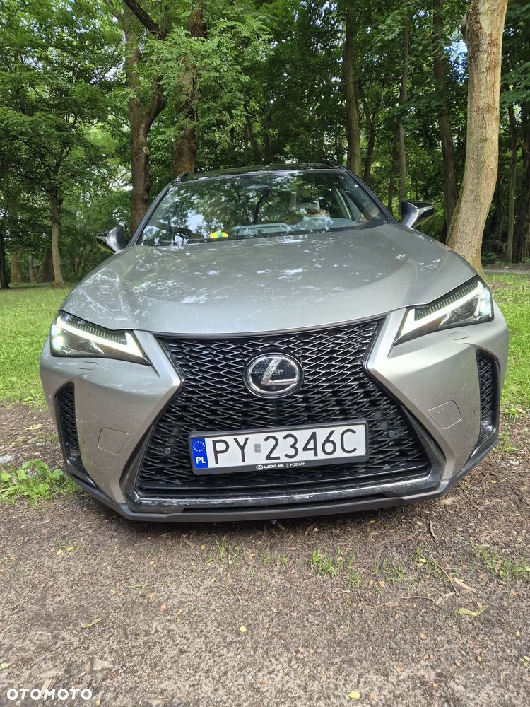 Lexus UX - 13
