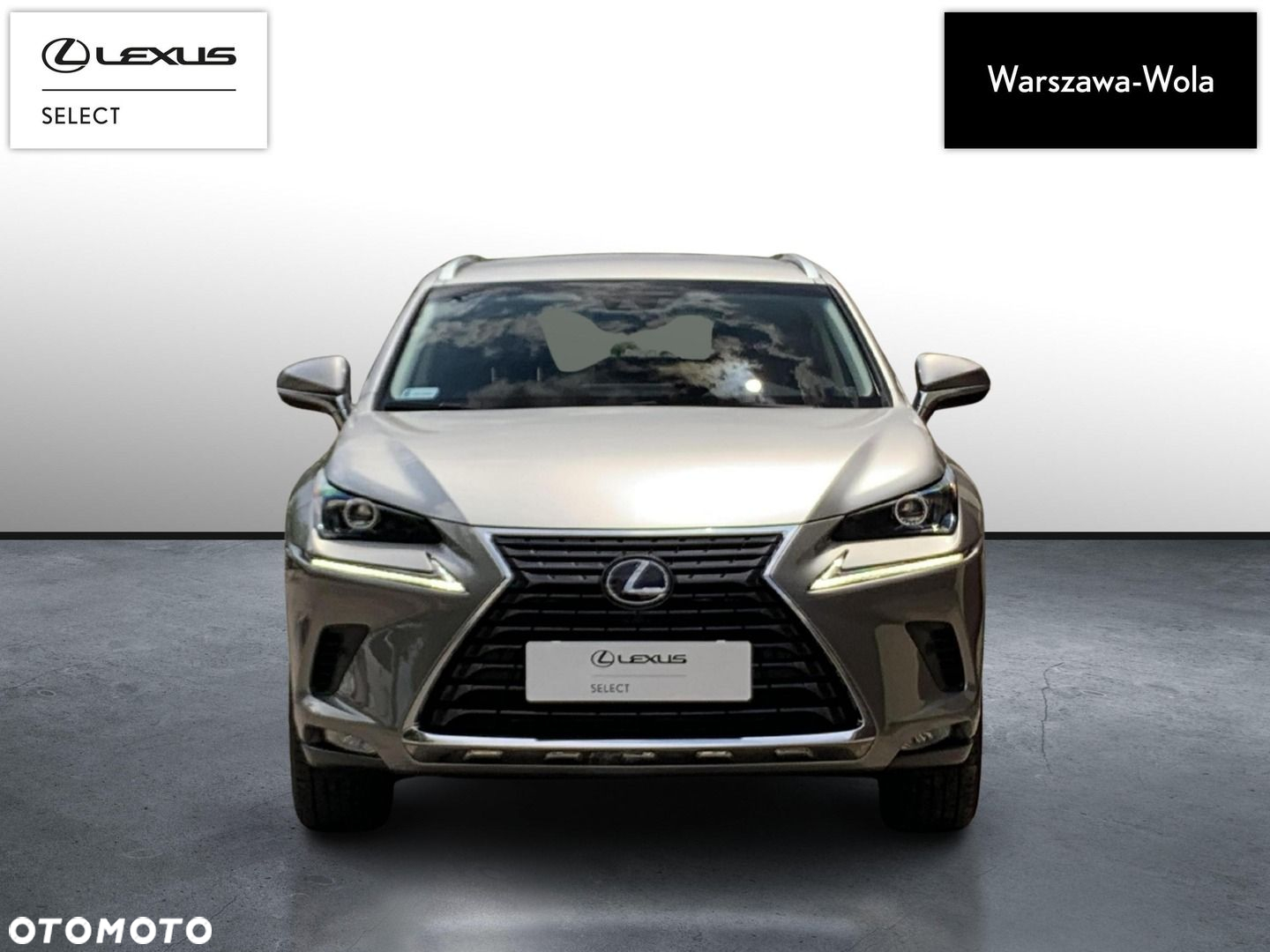 Lexus NX - 10