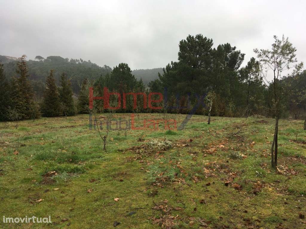 Quinta para venda em Mangualde - Grande imagem: 3/25