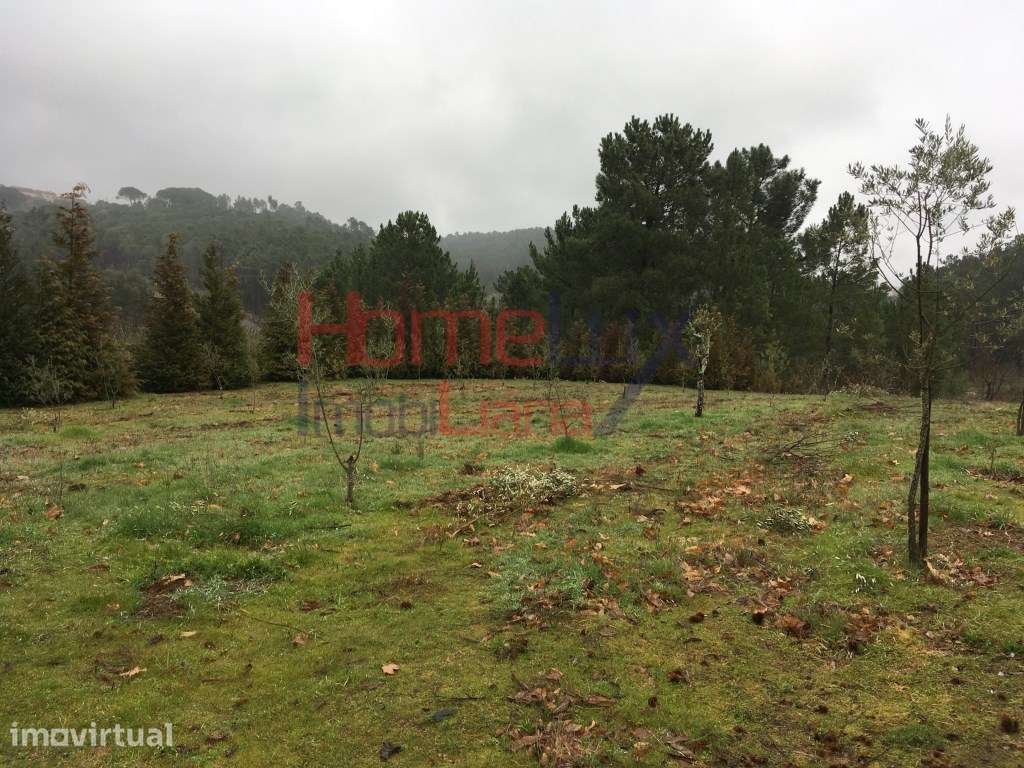 Quinta para venda em Mangualde - Grande imagem: 3/60