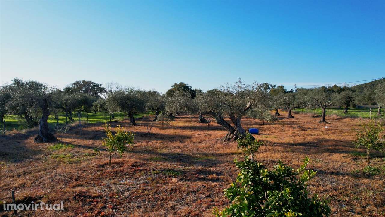 Terreno - Grande imagem: 4/10