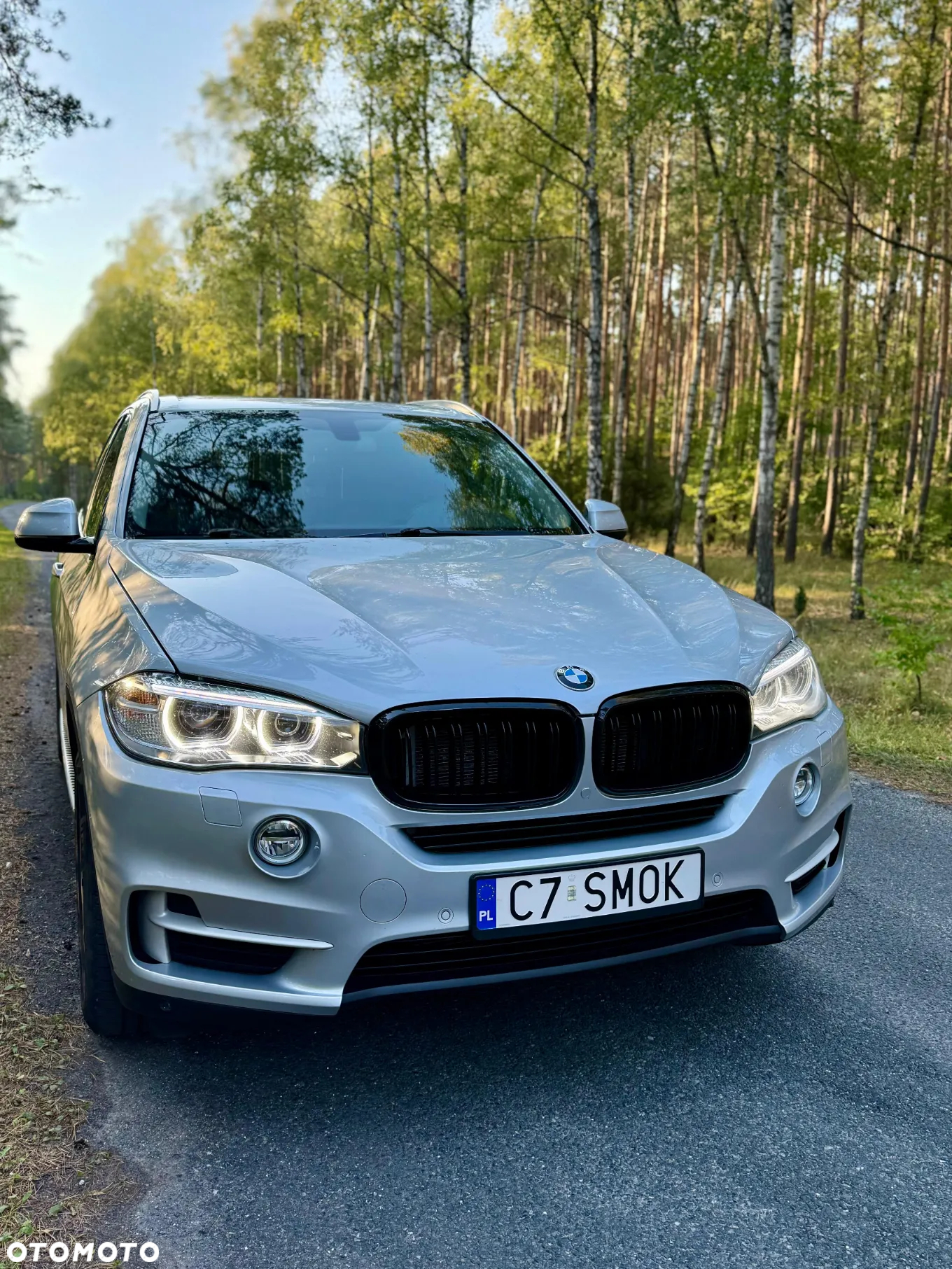 BMW X5 xDrive50i - 27