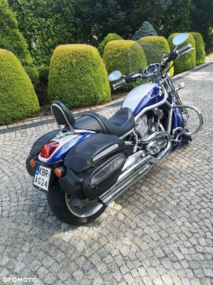 Harley-Davidson V-Rod Street Rod - 3