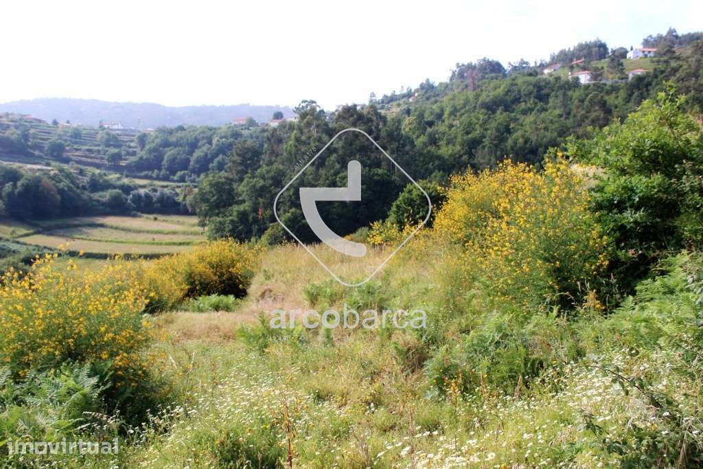 Terreno com 2340m2 em Rendufe - Ponte de Lima - 20.000 €!! - Grande imagem: 2/11