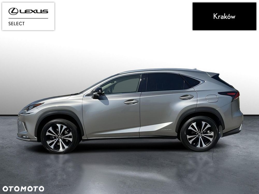 Lexus NX 300h F Impression AWD - 2