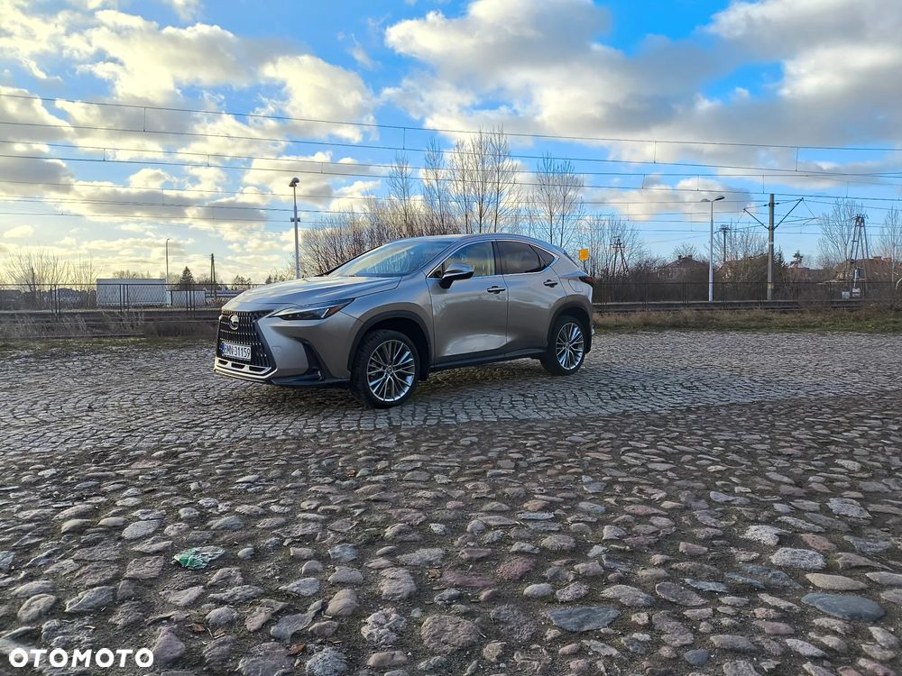 Lexus NX - 6